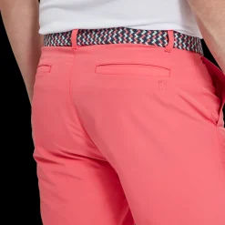 FJ Braided Belt