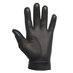 StaSof Winter Par